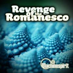 Machinespirit - Revenge Of The Romanesco (2012)
