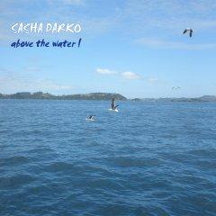 Sasha Darko - Above The Water (Promo) (2013)