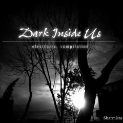 VA - Dark Inside Us: Electronic Compilation (2013)