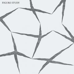 Figure Study - Figure Study (2013)