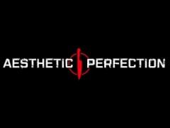 Aesthetic Perfection - Live in Leipzig (2005)