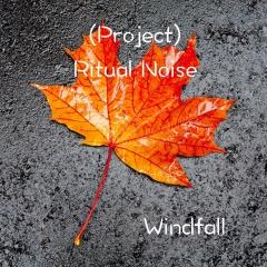 (Project) Ritual Noise - Windfall (EP) (2014)