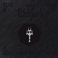 Рецензия: Project Pitchfork - Black (2013)