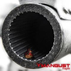 Mangust - Fragile (EP) (2014)