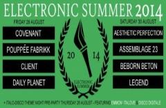 Отчёт: фестиваль Electronic Summer 2014