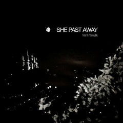 She Past Away - Narin Yalnizlik (2015)