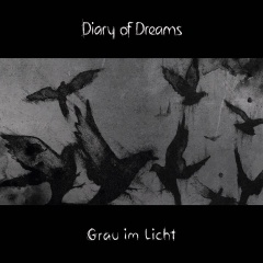   Diary Of Dreams "Grau Im Licht"