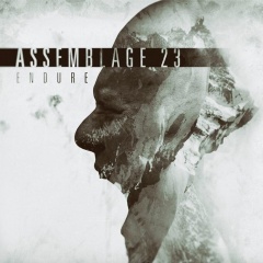 "Endure" - восьмой альбом Assemblage 23