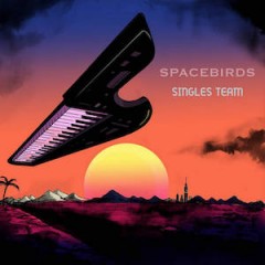 Spacebirds - Singles Team (Singles Collection 2008-2023) (2024)