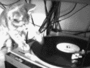 synaps_8