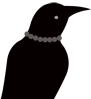 padizar