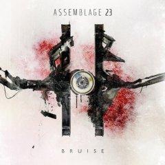 Assemblage 23 - Bruise (2CD) (2012)