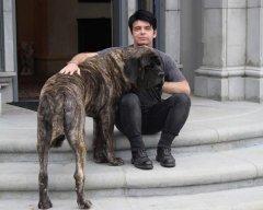 Gary Numan ����������� 55 ���!